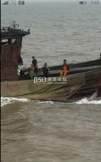 南通周邊海域驚現“斷子絕孫”式偷捕 魚子魚孫難逃厄運，數十萬尾幼魚竟成飼料原料