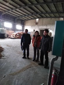 港口區水產畜牧獸醫局開展春節前飼料生產企業安全生產專項檢查，筑牢畜牧漁業安全防線